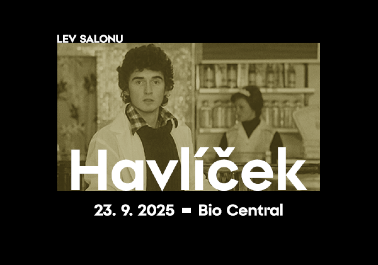 Lev salonu: Josef Havlíček